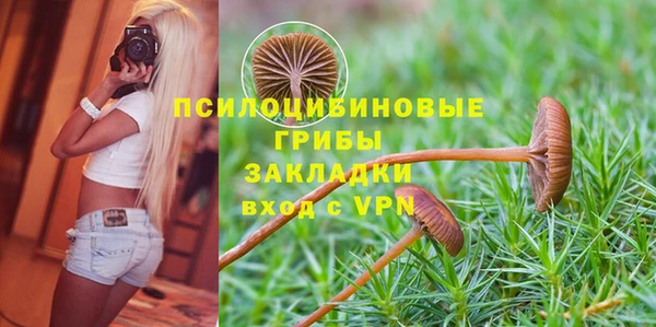 СК Зеленодольск