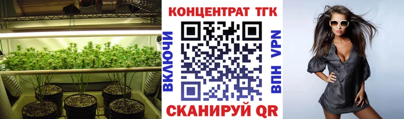 Купить где  Прохладный  ТГК THC oil 